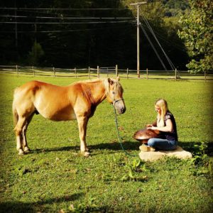Saraz Counseling client and equine assisted therapy