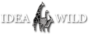 Idea Wild Logo